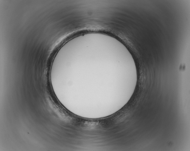 X0000111530440200908111230