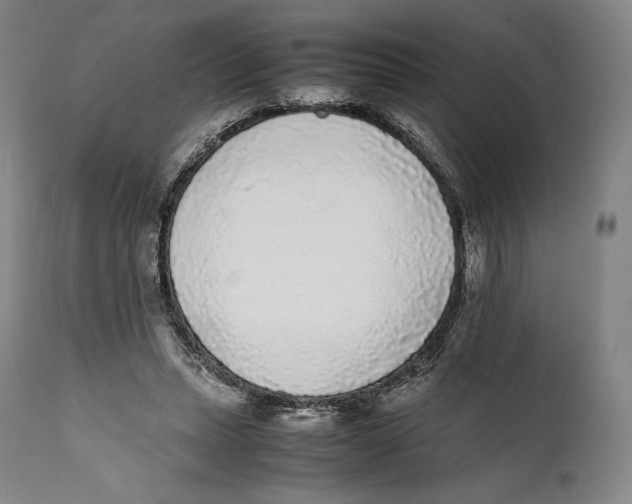 X0000111530447200908111230