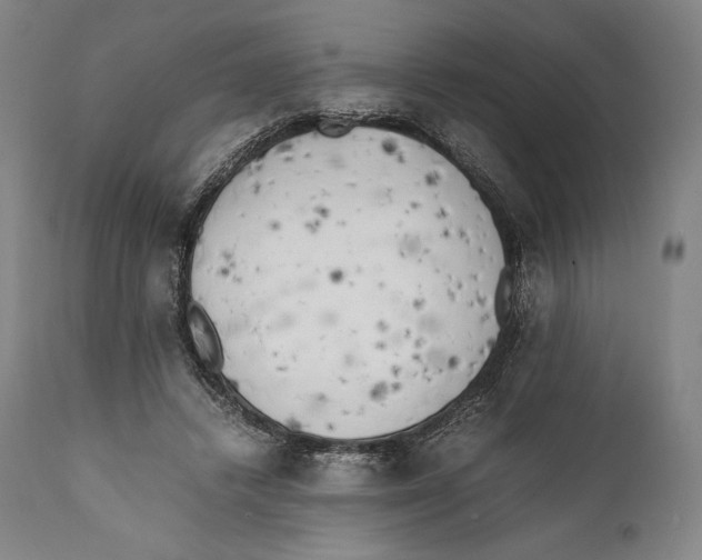 X0000111530448200908111230