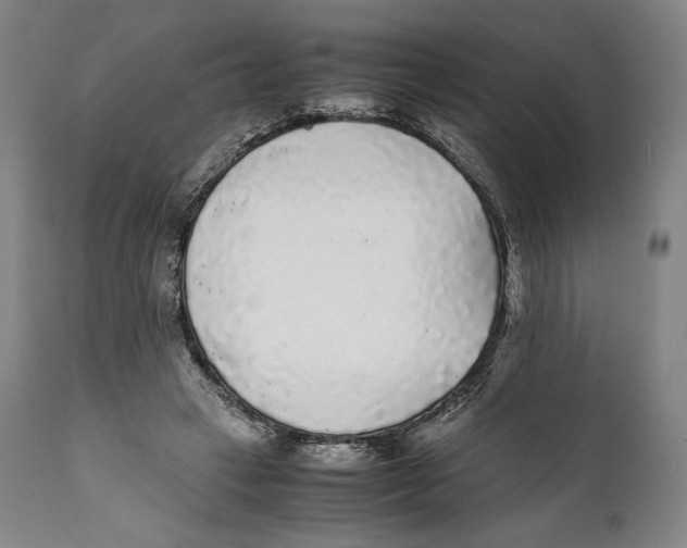 X0000111530449200908111230