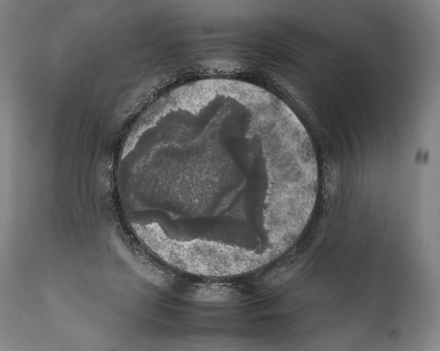 X0000111530451200908111230