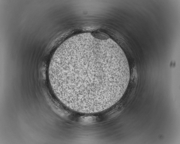 X0000111530452200908111230