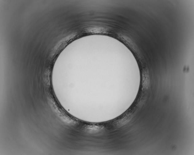 X0000111530453200908111230