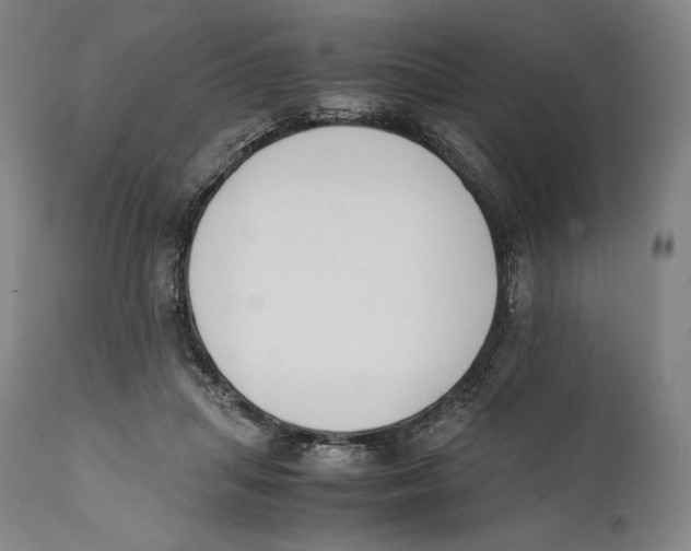 X0000111530455200908111230