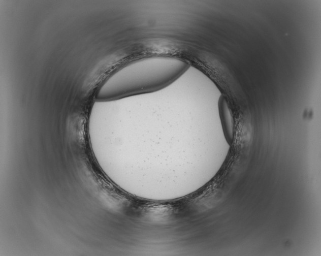 X0000111530456200908111230