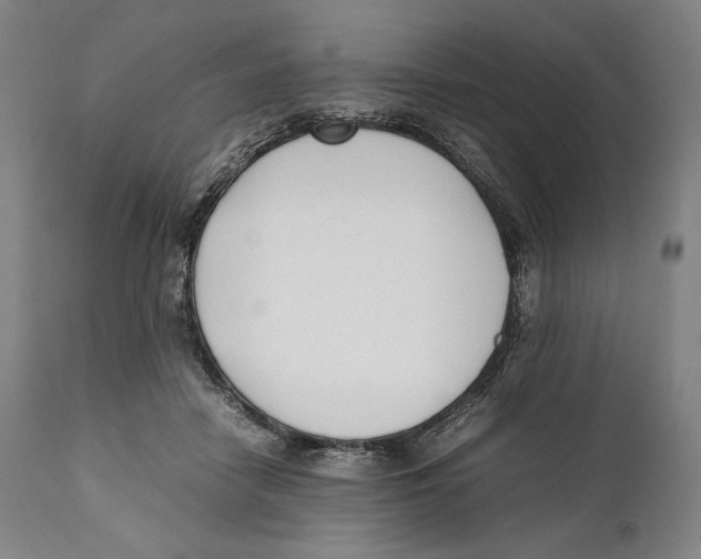 X0000111530458200908111230