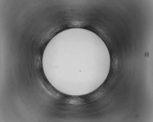 X0000111530459200908111230