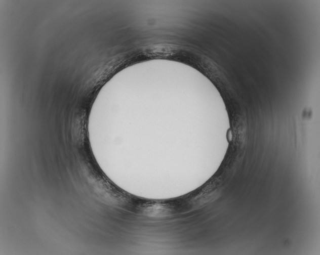 X0000111530460200908111230