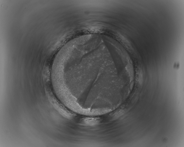 X0000111530465200908111230