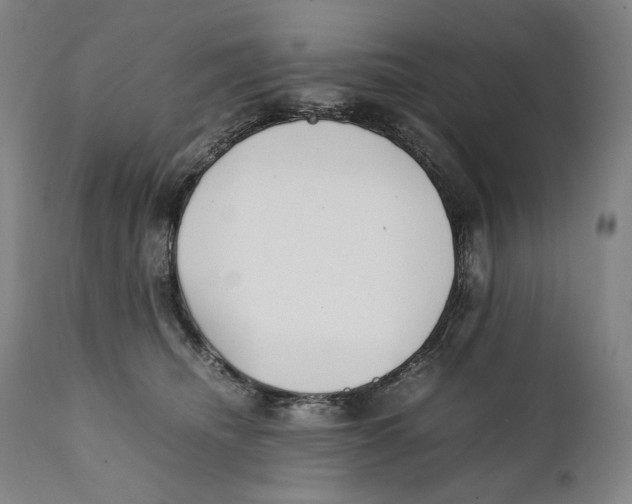 X0000111530468200908111230