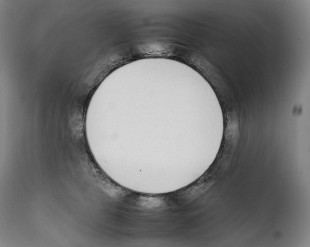 X0000111530469200908111231