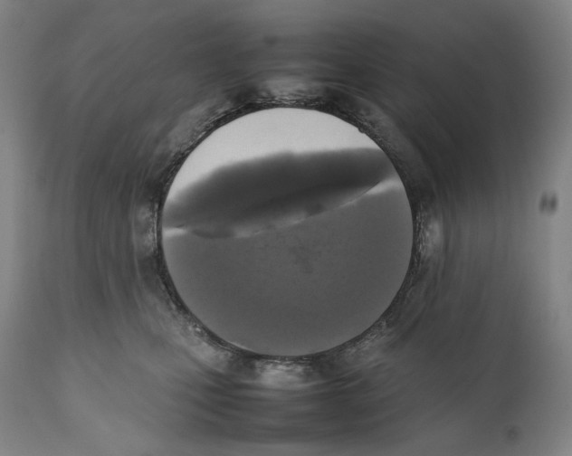 X0000111530471200908111231