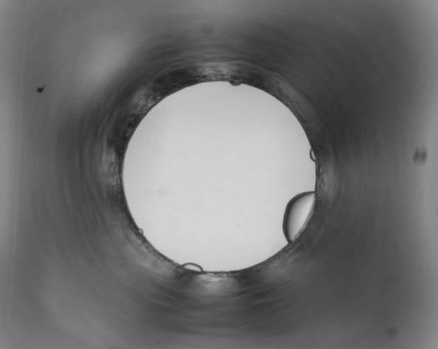 X0000111530477200908111231