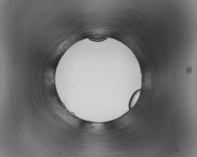 X0000111530478200908111231