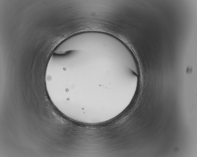 X0000111530481200908111230