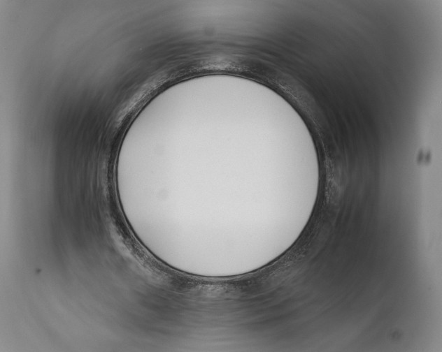 X0000111530482200908111230