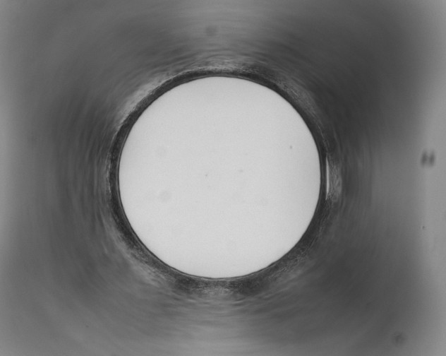 X0000111530483200908111230