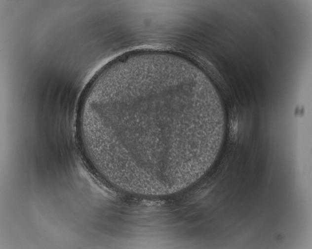 X0000111530484200908111230