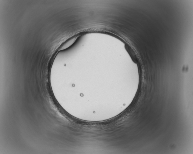 X0000111530485200908111230