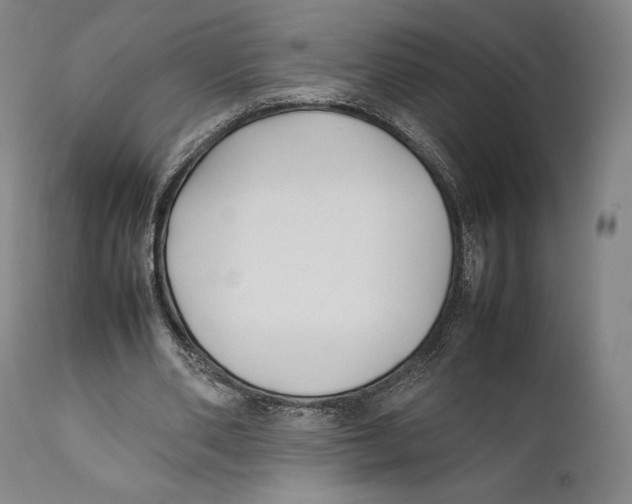 X0000111530486200908111230