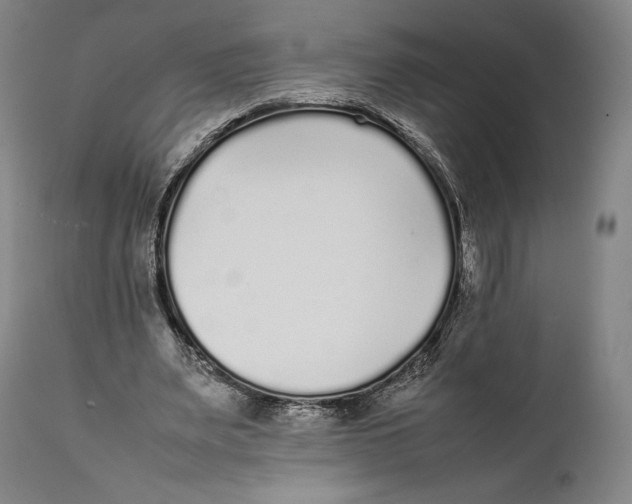 X0000111530487200908111230