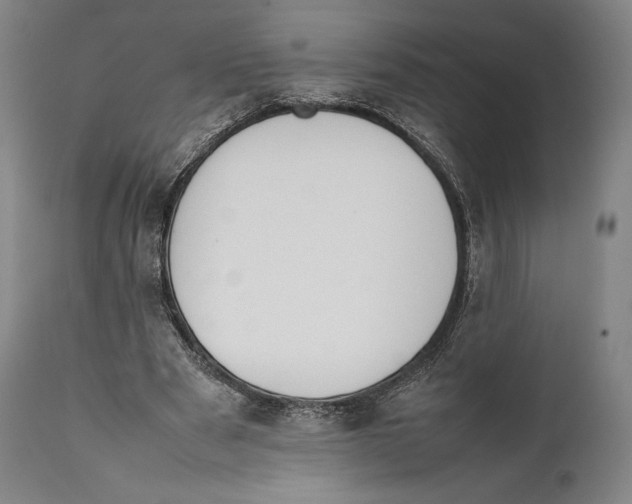 X0000111530489200908111230