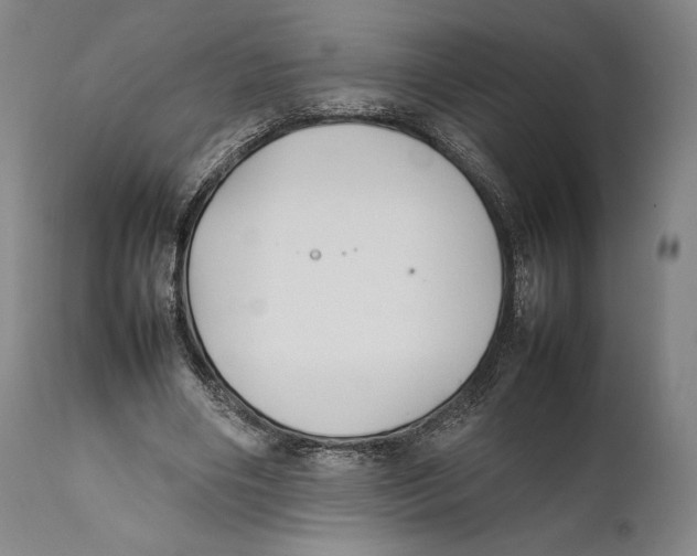 X0000111530490200908111230