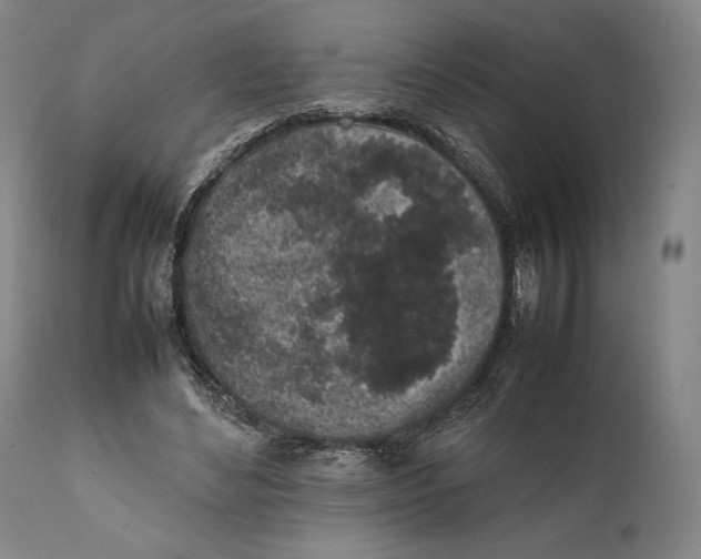 X0000111530492200908111230