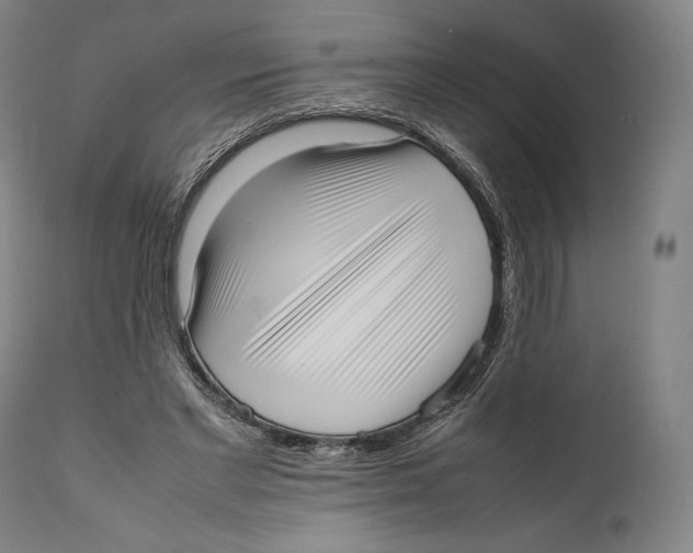 X0000111530493200908111230