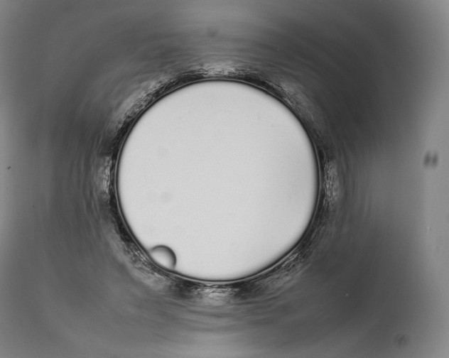 X0000111530495200908111230