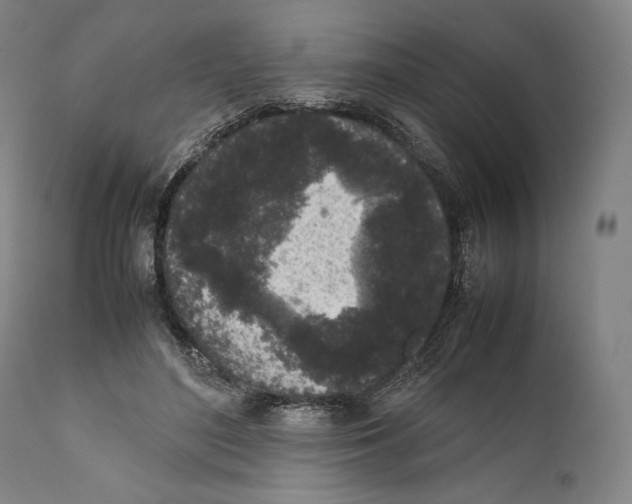 X0000111530500200908111230