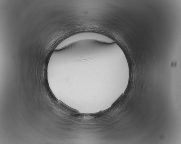 X0000111530501200908111230