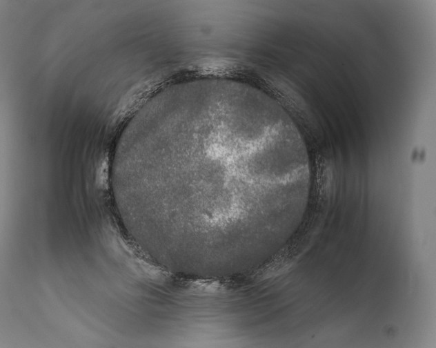 X0000111530502200908111230