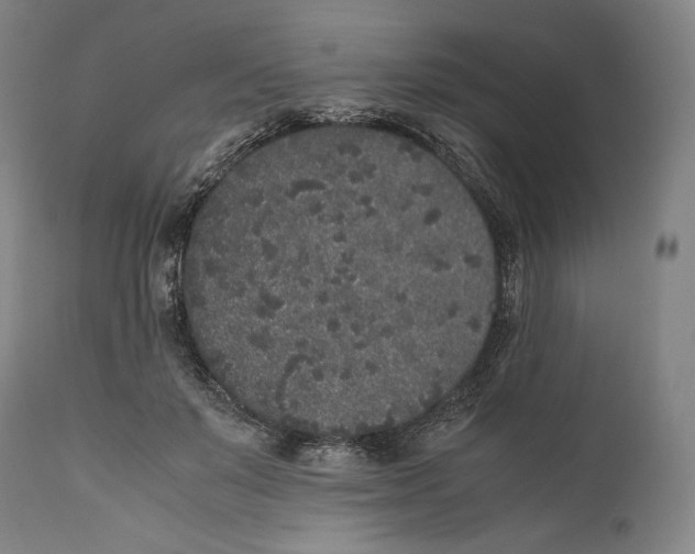 X0000111530503200908111230