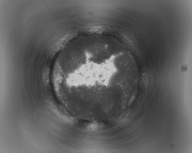 X0000111530504200908111230