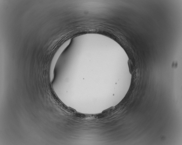 X0000111530505200908111230