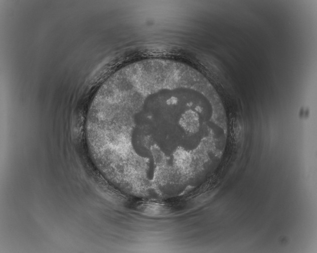 X0000111530507200908111230