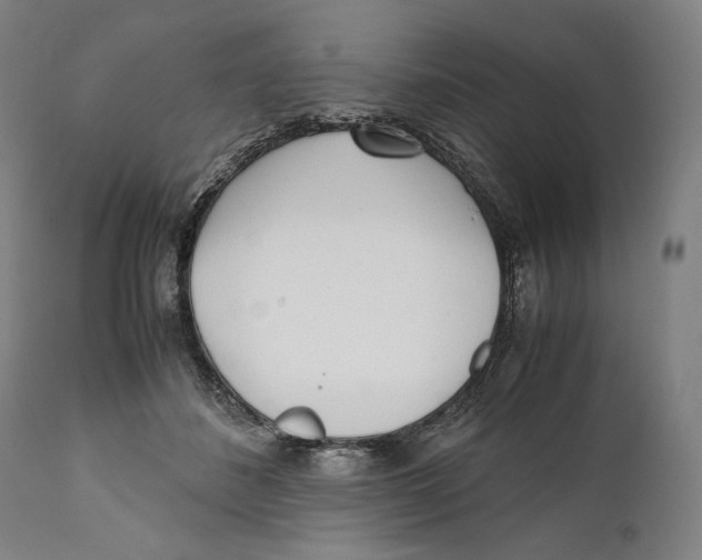 X0000111530508200908111230