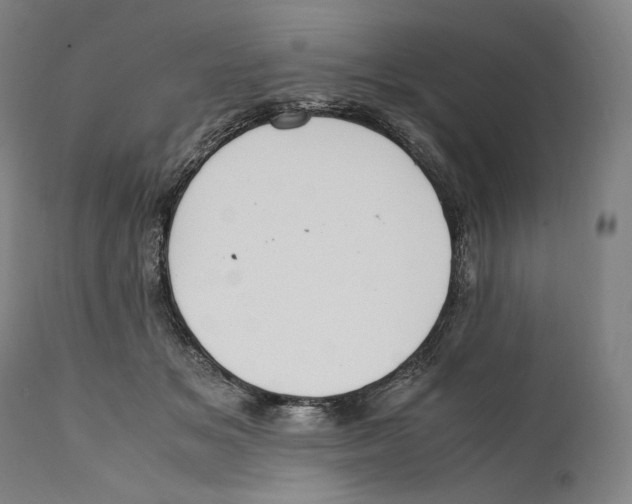 X0000111530509200908111230