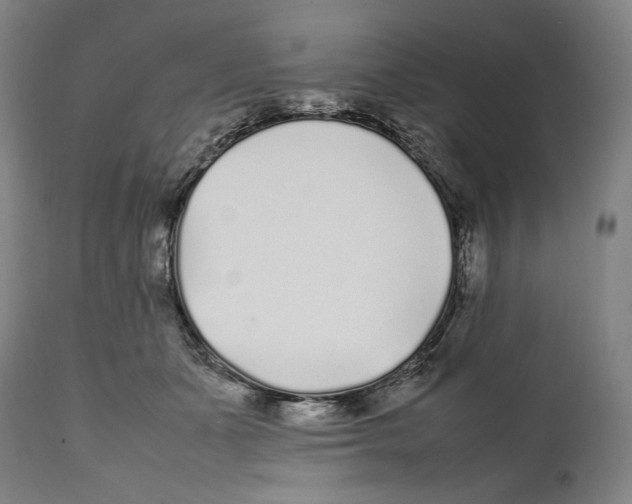 X0000111530511200908111230