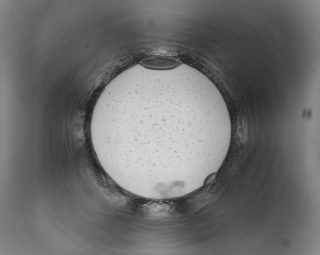 X0000111530512200908111230