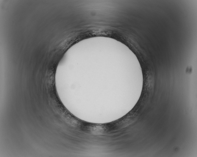 X0000111530513200908111230