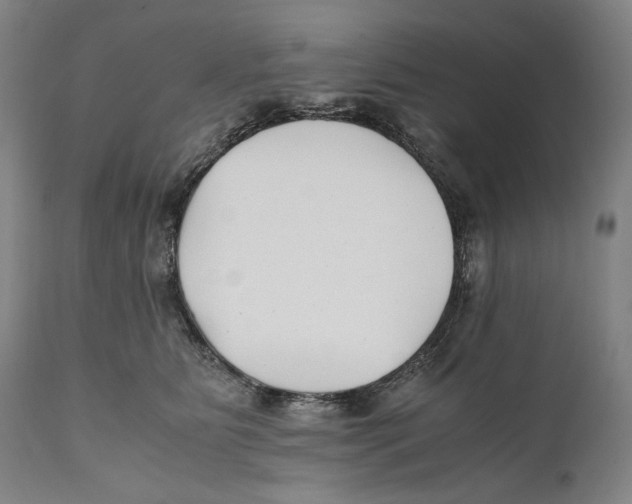 X0000111530515200908111230