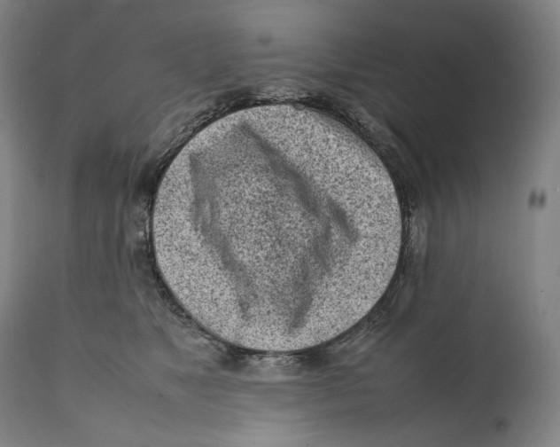 X0000111530517200908111230