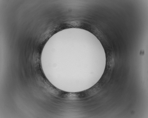 X0000111530518200908111229