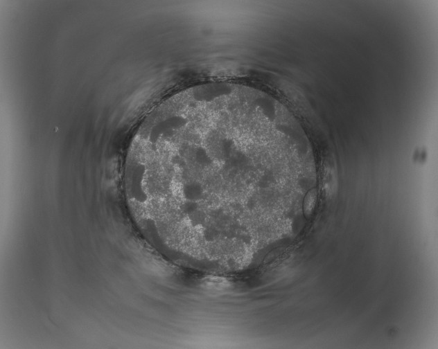 X0000111530519200908111229