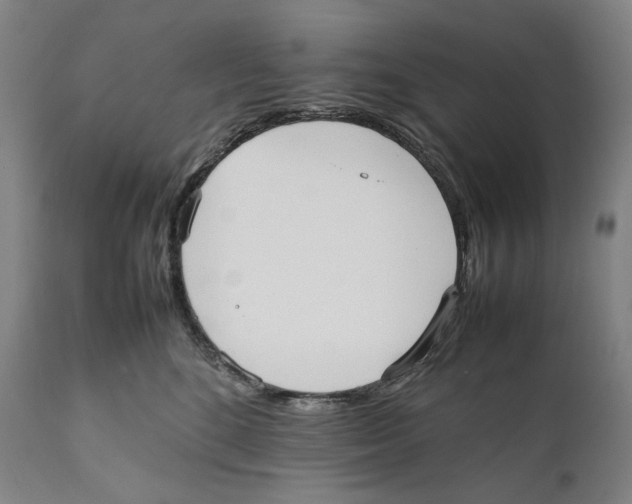 X0000111530520200908111229