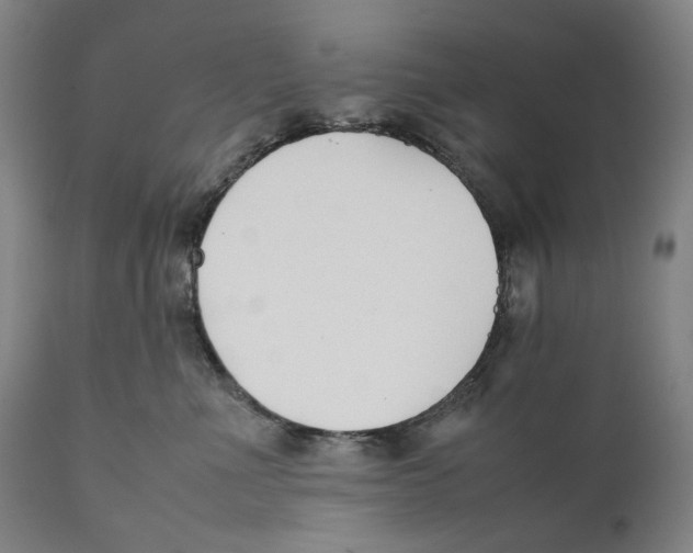 X0000111530523200908111229