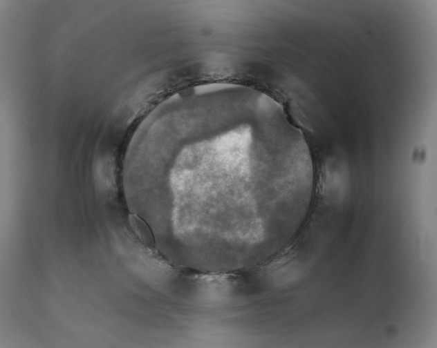 X0000111530524200908111229