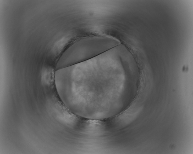 X0000111530528200908111229